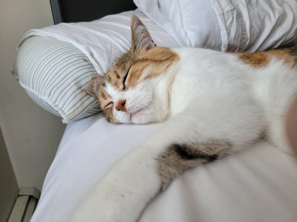 Messenger_creation_6ba786a0-f413-4072-8242-7ac78f839559